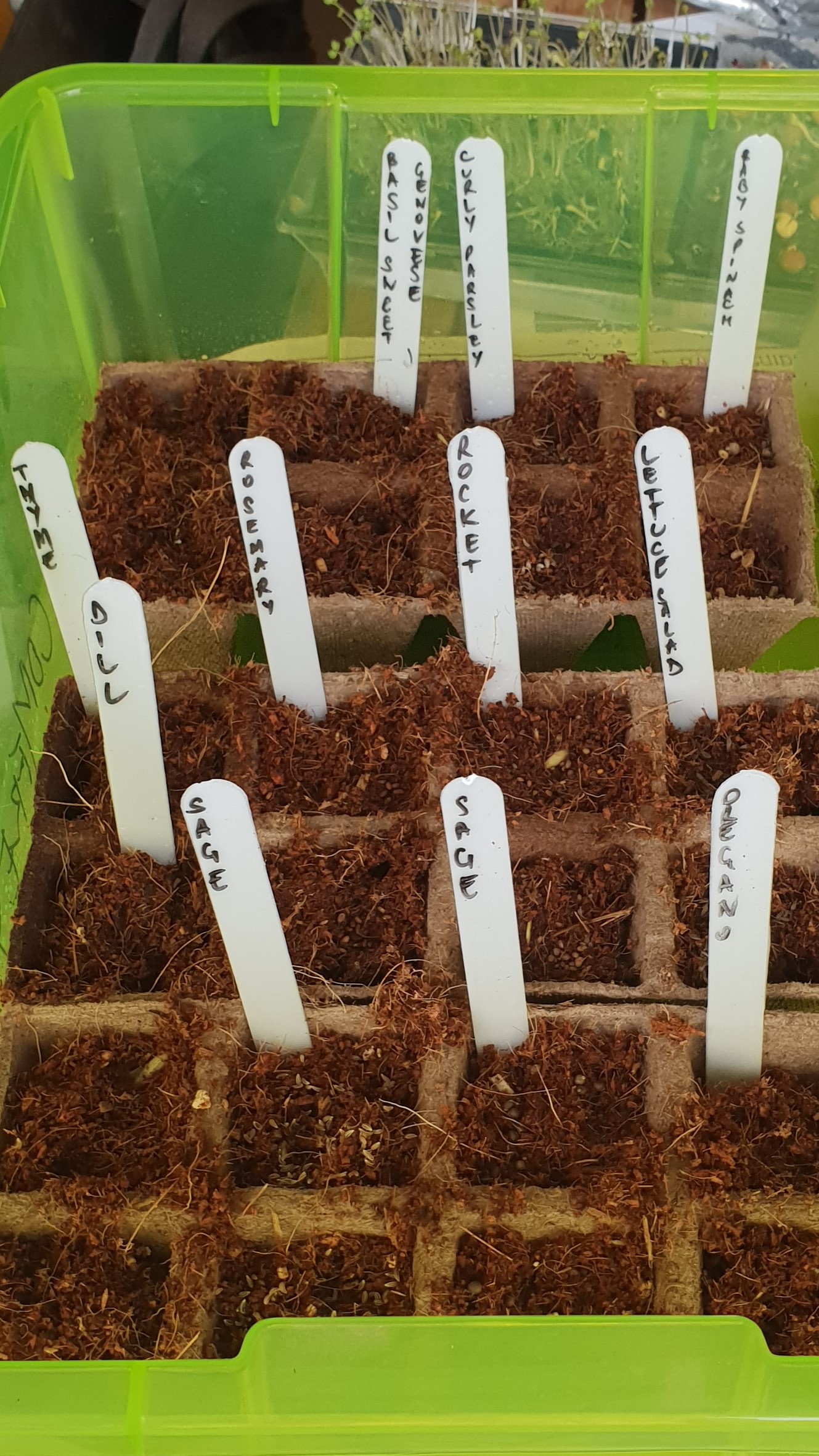 Gallery Big River Herbs